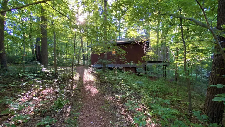 Bluebird Ridge Cottage Cabin