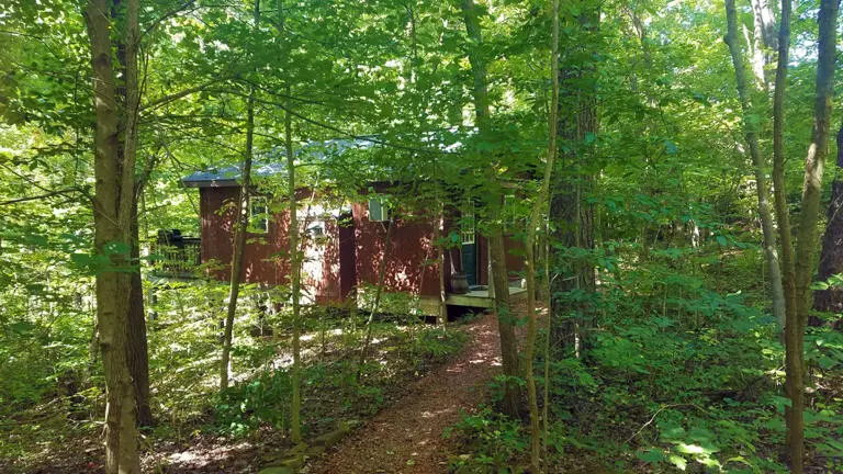 Little Pine Exterior